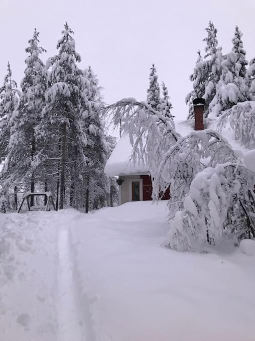 Tievaharju Kittila (Lapland)
