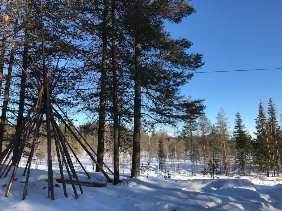 Tievaharju * Kittila (Lapland)