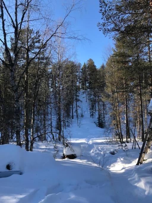 Tievaharju * Kittila (Lapland)